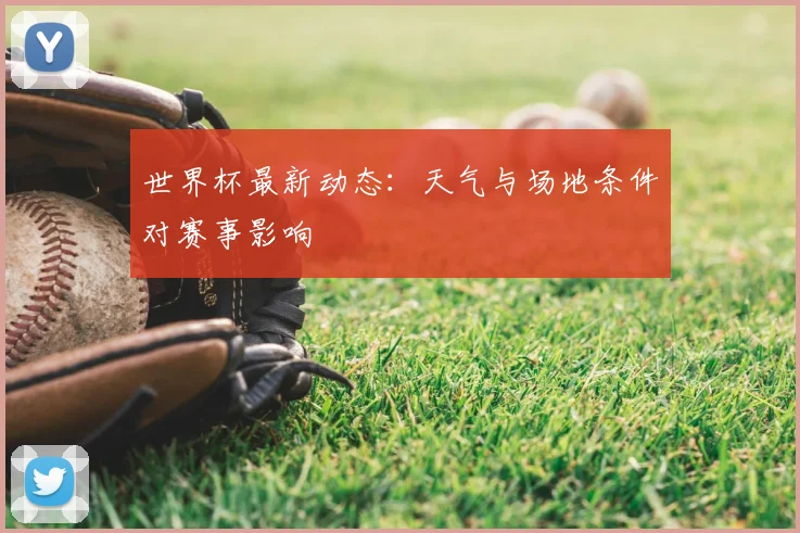 世界杯最新动态：天气与场地条件对赛事影响