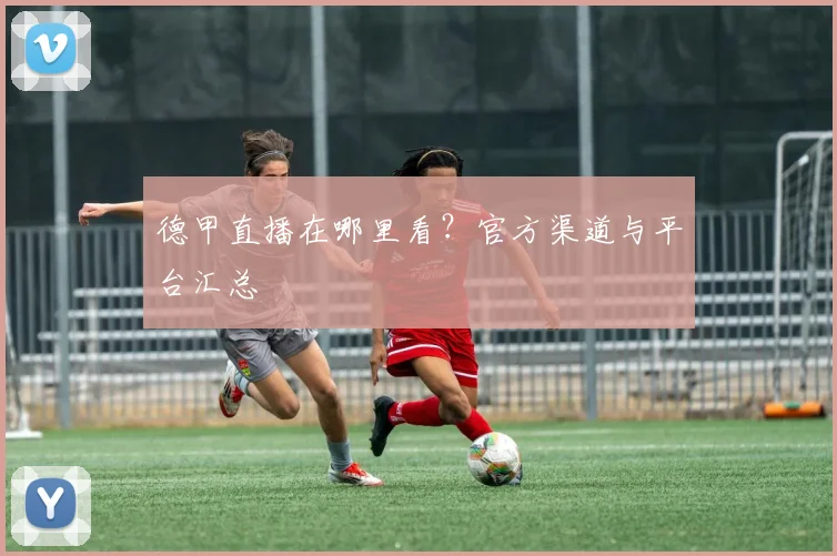德甲直播在哪里看？官方渠道与平台汇总